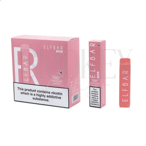 Elf Bar NC600 Disposable vape Kit Raspberry Energy Smokey